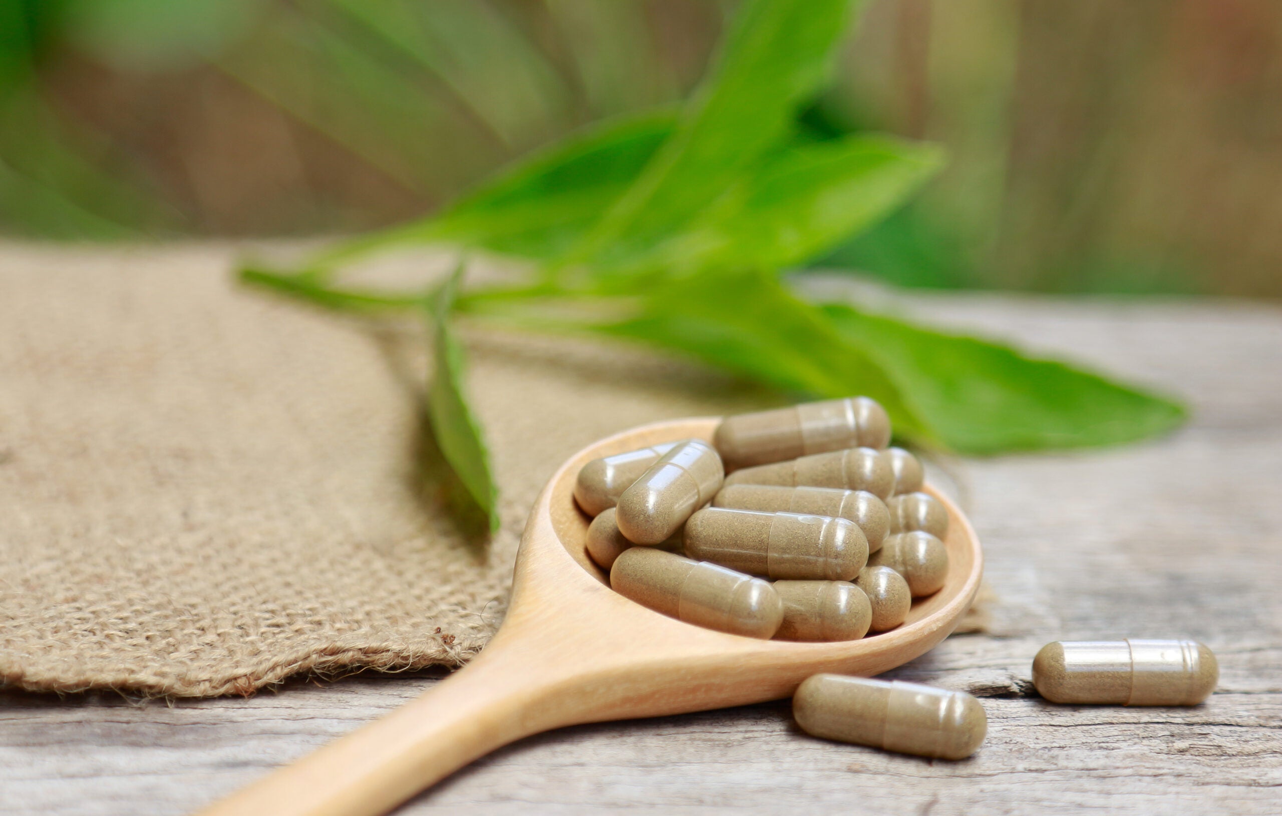 Gélules de Costus indien